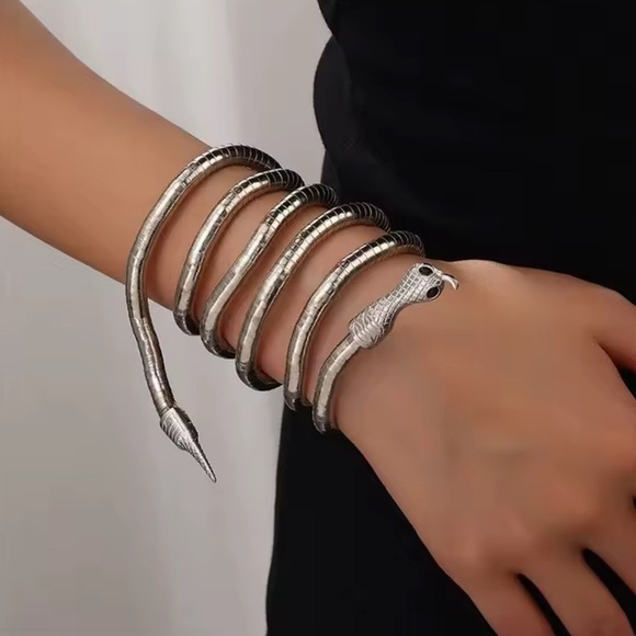 Silver Serpenti Snake Necklace-Bracelet Multifunctional - Picture 11 of 17